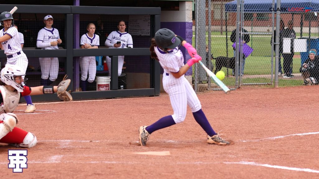 Three Rivers softball falls to Paw Paw
